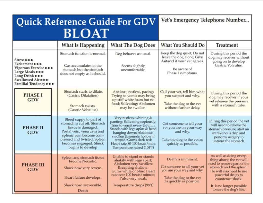 Gastric Dilation and Volvulus GDV Bloat