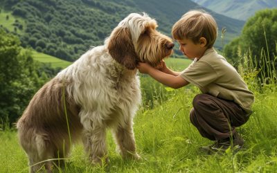 Spinone Italiano Temperament: Discovering Their Charming Personality